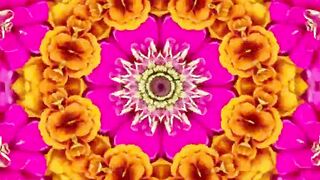 Amazing views of flowers with teelawat e Quran