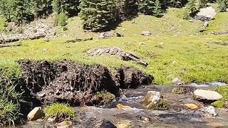 adventure