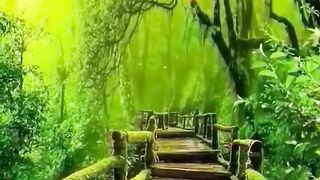 Beautiful view of nature 115