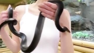 Snake perspective