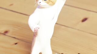 Beautiful cat dance video