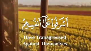 Tilawat Quran