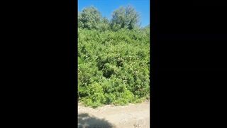 لبيئية على كوكب الأرض وهو ضروري لاستمرار الحياة وتوازنها.