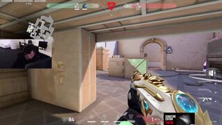 insane 1 tap
