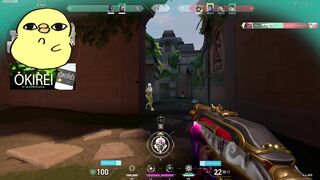 okinawapex insane shot 4k
