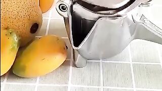 Handy Juice Squeezer  Technoant