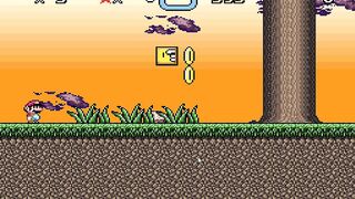 Mario The Lost Adventure Episode II