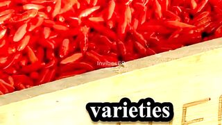 One of the hottest peppers in the world