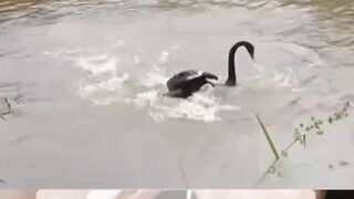 Ga ada yang tolongin