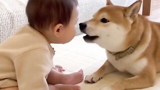 Baby and Dog