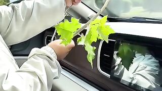 CAR TIPS LIFE HACK
