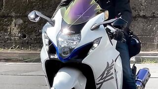 白鷺のようなシロブサ グランプリテイクオフッ
