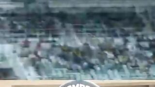 Fan signs ball before giving it back, a breakdown