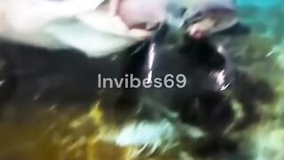 It swallowed it WHOLE