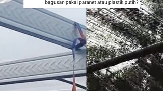 PARANET vs PLASTIK UV Kalian pilih mana untuk penutup kolam