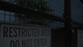 Avenger Endgame Steveand Natasha