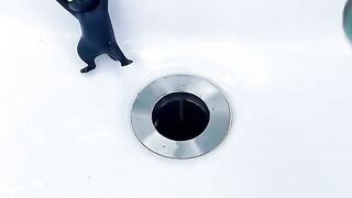 Bathroom Sink Filter