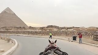 Egypt View