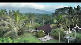 The Elixir  Official Teaser