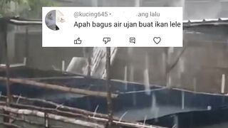 Apakah air HUJAN bagus untuk ikan lele