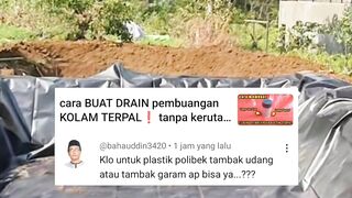Kolam plastik GEOMEMBRAN tambak udang bagaimana cara buat drainase nya