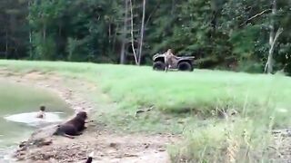 Kids freaking out after encountering Bigfoot