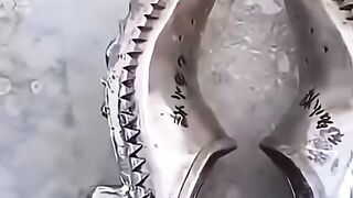 انت بس تخيل