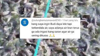 Ingin budidaya tapi terkendala kekurangan AIR gunakan cara ini