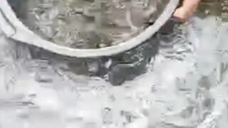 Ini alasan kenapa saya rutin SORTIR ikan lele