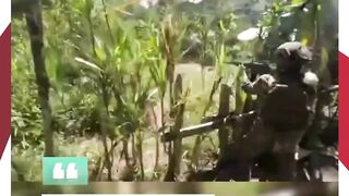 Operasi Senyap TNI Berhasil Rebut Markas Kodap VIII Soanggama, 14 Anggota OPM Dilumpuhkan