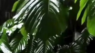 Beautiful nature