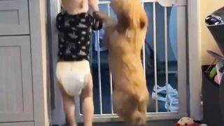 When the baby  and the puppy at home become
