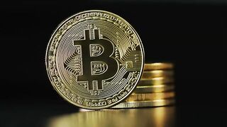 Portfel Paydex Review  - Real or Fake?