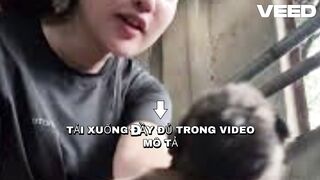 [Xem Video] quỳnh mai đang nuôi học phí full clip quỳnh anh tiktoker quỳnh mai tối cổ