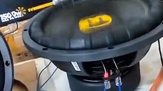 Momentum Subwoofer Speaker