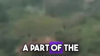 north sentinel island isolated tribe