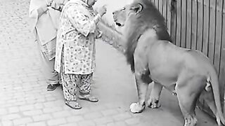Dadi Nay Shair Ko Daant Diya