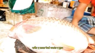 Amazing Cutting Skills  Big Common Carp Fish Cleaning  Cutting By Expert Fish Cutter