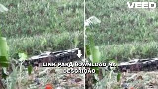 [Ver Video] acidente ônibus pernambuco acidente em pernambuco com ônibus