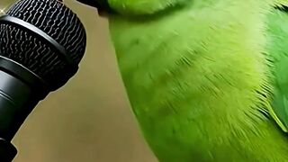 সর ইখলস islamic shorts railway duet