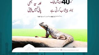 Islamic Information  Islamic Learning 786 hazratali quotes islamicfigure