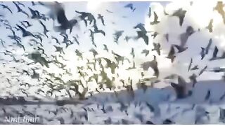 Deep lines of reality of this world