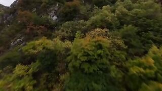 АСЕНОВА КРЕПОСТ