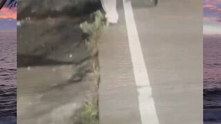Buang benih sembarangan