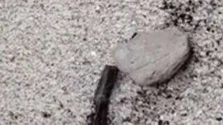 Super Power Electric Air Duster