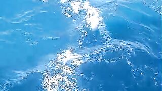 ديلفين  البحر يسباح مع سفينة