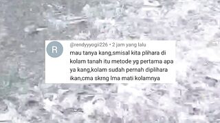 PersiapanSterilisasi kolam TANAH untuk pembesaran lele