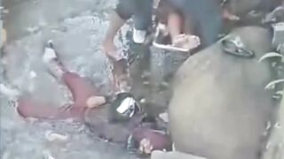 Berita Viral Adobet88