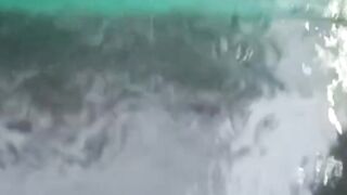 Manfaat keramba SEKAT saat PANEN  SORTIR ikan lele