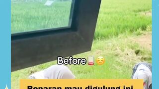 Cabut rumput x Ngupas bumi yez